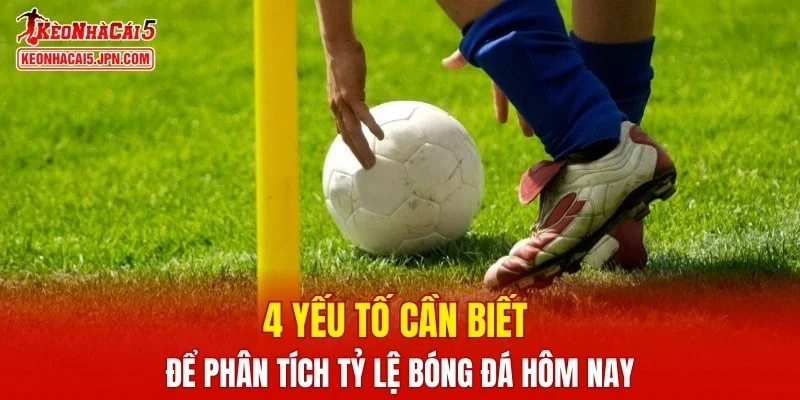 4 yếu tố cần biết để phân tích tỷ lệ bóng đá hôm nay