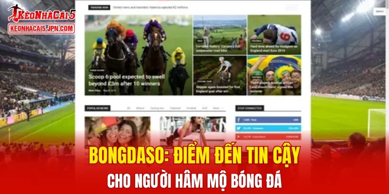 bongdaso
