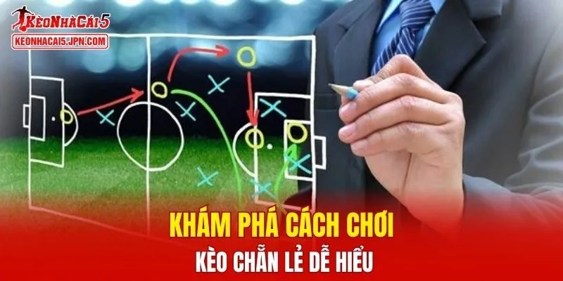 Khám phá cách chơi kèo chẵn lẻ dễ hiểu