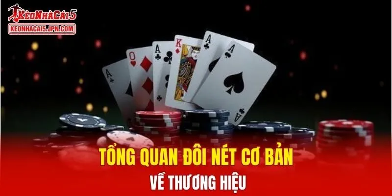Tổng quan đôi nét cơ bản về thương hiệu