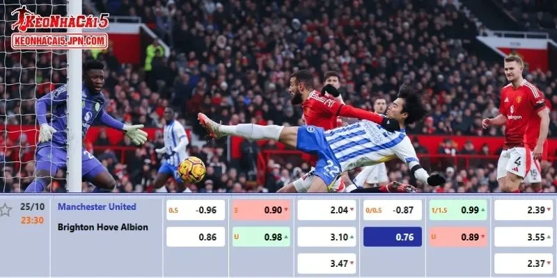 Soi kèo chi tiết nhất cho trận đấu giữa Man United vs Brighton