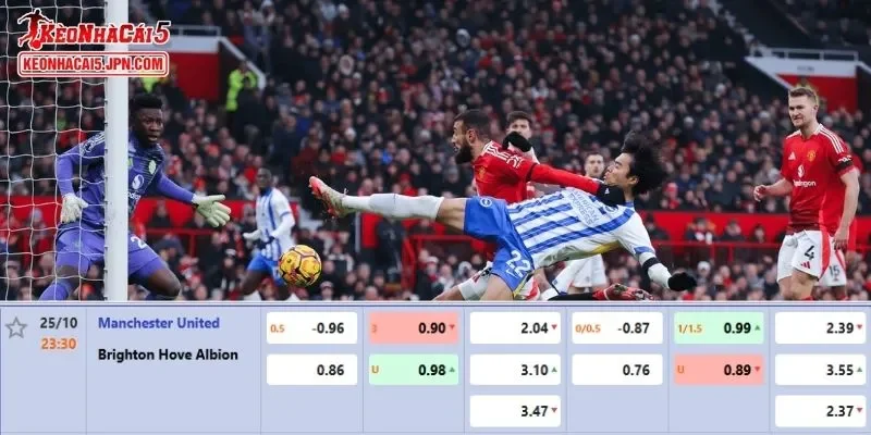 Tỷ lệ kèo chi tiết của trận Man United vs Brighton