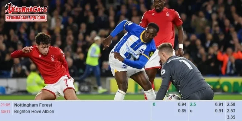 Tỷ lệ kèo chi tiết của của trận Nottingham vs Brighton