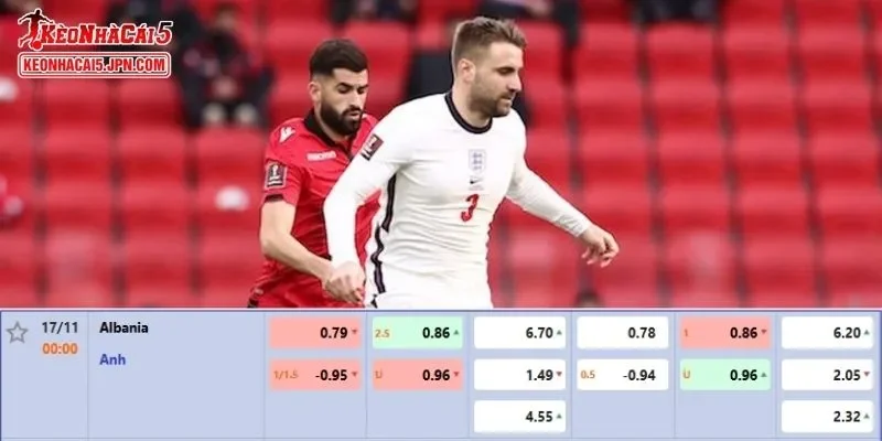 Tỷ lệ kèo chi tiết của trận Albania vs Anh