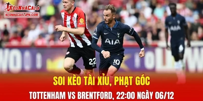 Cuộc đối đầu giữa Tottenham Vs Brentford hứa hẹn mang đến nhiều điều thú vị