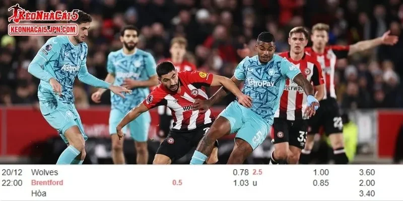 Dữ liệu soi kèo toàn diện cho trận đấu Wolves vs Brentford