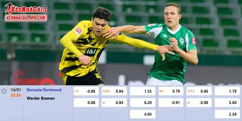 Tỷ lệ kèo chi tiết của của trận Dortmund vs Bremen