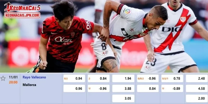 Tỷ lệ kèo được cập nhật liên tục cho trận đấu giữa Rayo Vallecano vs Mallorca